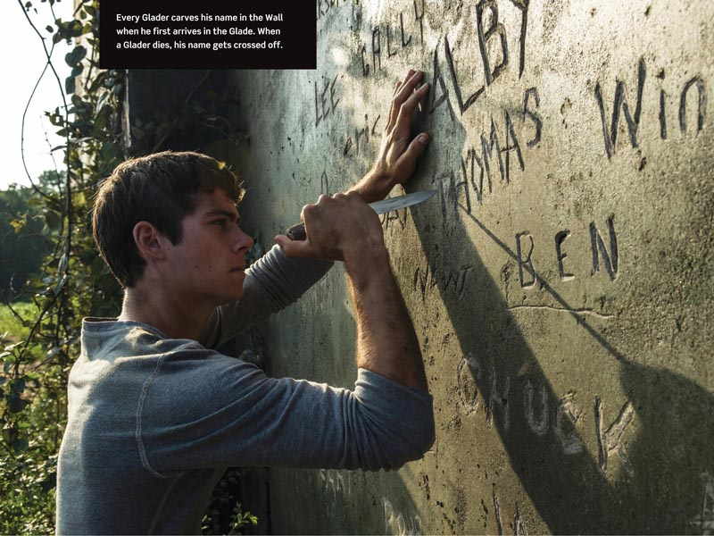 Inside the Maze Runner: The Guide to the Glade PDF